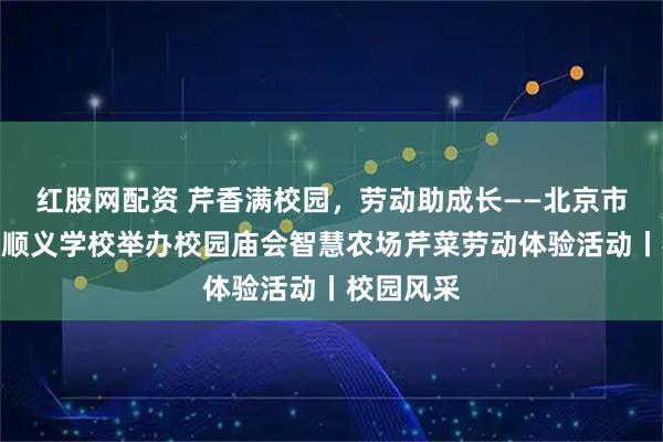 红股网配资 芹香满校园，劳动助成长——北京市十一学校顺义学校举办校园庙会智慧农场芹菜劳动体验活动丨校园风采