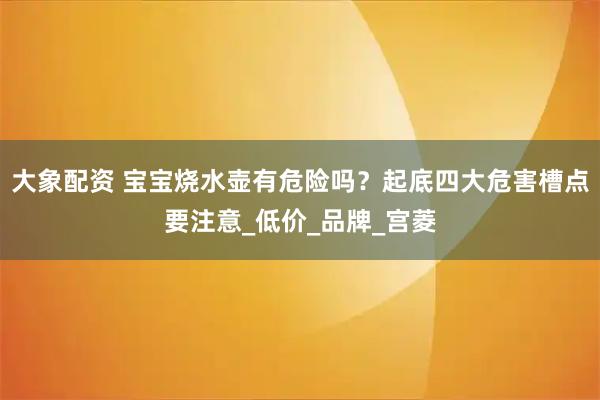 大象配资 宝宝烧水壶有危险吗？起底四大危害槽点要注意_低价_品牌_宫菱